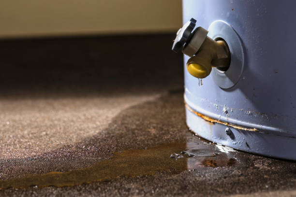 Best Carpet water damage restoration  in Porterville, CA