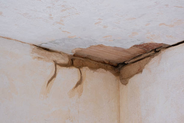 Best Water damage restoration near me  in Porterville, CA