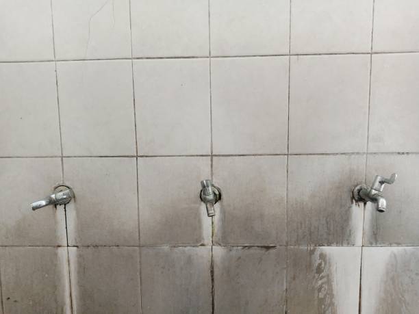 Best Mold removal after water damage  in Porterville, CA