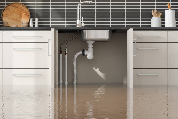 Best Ceiling water damage repair  in Porterville, CA