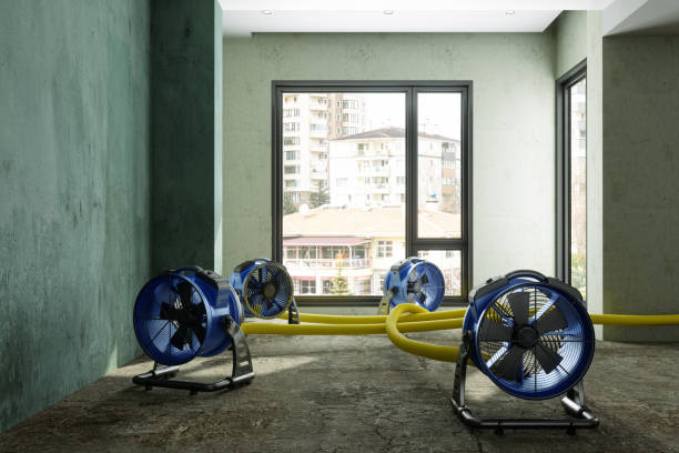 Best Water damage restoration near me  in Porterville, CA